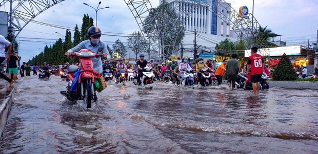 Chu dong ung pho voi trieu cuong, mua va ngap ung o khu vuc Nam Bo hinh anh 1