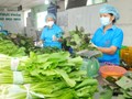 TP Hồ Chí Minh: Nhiều điểm sáng trong “bức tranh” kinh tế