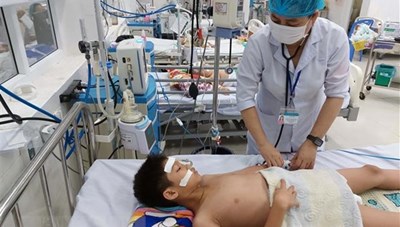 Thành phố Hồ Chí Minh nâng cao cảnh giác với bệnh do virus Marburg