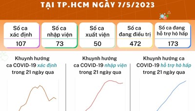 Tình hình dịch bệnh COVID-19 tại TP. Hồ Chí Minh ngày 7/5/2023