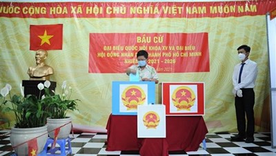 TPHCM đạt tỷ lệ 99,38% cử tri tham gia bầu cử