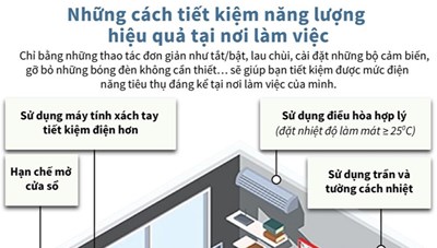 Những cách tiết kiệm năng lượng hiệu quả tại nơi làm việc