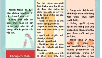 Phân loại các đối tượng tiêm chủng