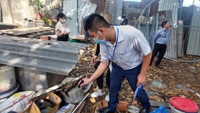 TPHCM dự báo dịch sốt xuất huyết và tay chân miệng tiếp tục tăng nhanh