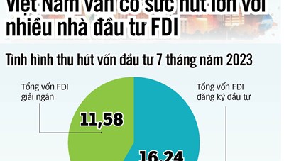 Việt Nam vẫn là điểm đến của dòng vốn đầu tư FDI