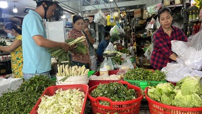 Tổng hợp thông tin báo chí liên quan đến TP. Hồ Chí Minh ngày 22/9/2023