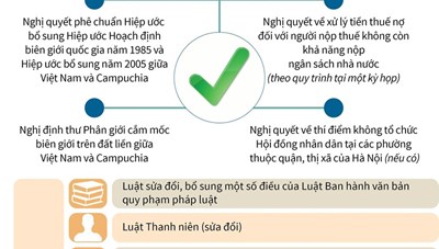 [Infographics] Những nội dung chính của kỳ họp thứ 8 Quốc hội khóa XIV