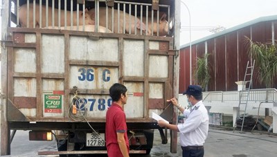 Tăng cường kiểm soát thực phẩm “bẩn” vào TP. Hồ Chí Minh