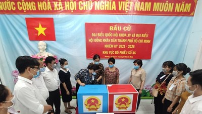 TPHCM kiểm phiếu bầu cử đại biểu Quốc hội, đại biểu HĐND