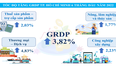 Tình hình kinh tế - xã hội TP. Hồ Chí Minh tháng 6 và 6 tháng năm 2022