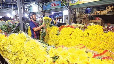 Hàng tết ùa về thành phố