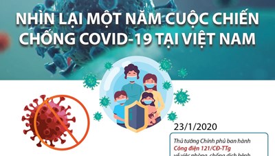 Nhìn lại một năm cuộc chiến chống COVID-19 tại Việt Nam