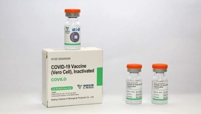 Bộ Y tế thông tin chi tiết về vaccine phòng COVID-19 của Sinopharm