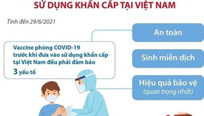 [Infographics] 5 loại vaccine COVID-19 được cấp phép sử dụng khẩn cấp