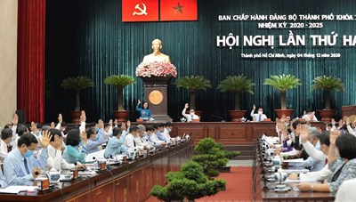 Phát huy trí tuệ, sáng tạo, đóng góp tối đa cho các báo cáo, chương trình, dự thảo, nghị quyết, kết luận của Thành ủy