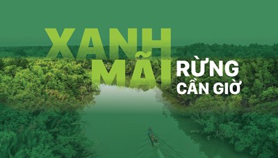 Xanh mãi Rừng Cần Giờ