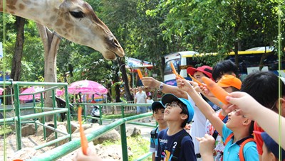 TP. Hồ Chí Minh: Tạm dừng hoạt động kinh doanh vui chơi giải trí, nhà hàng từ 18 giờ ngày 24/3 