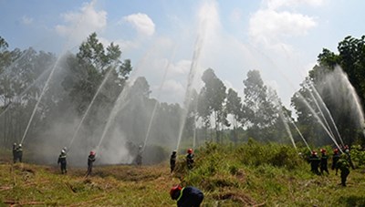 Triển khai các biện pháp cấp bách phòng cháy, chữa cháy rừng