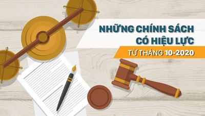 Những chính sách có hiệu lực từ tháng 10/2020