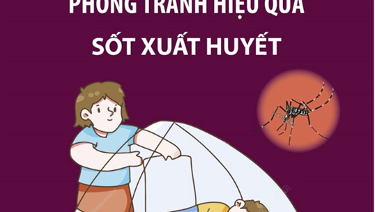 Biện pháp tránh bị muỗi đốt, phòng tránh hiệu quả sốt xuất huyết