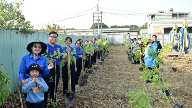 Tuổi trẻ TPHCM trồng 300 cây xanh chào Xuân Ất Tỵ 2025