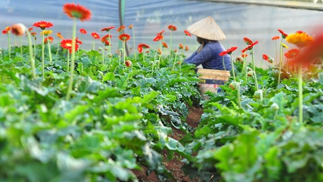 Tổng hợp thông tin báo chí liên quan đến TP. Hồ Chí Minh ngày 7/6/2021