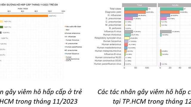 Sở Y tế TP.HCM: HMPV không phải là virus mới, từng được phát hiện từ năm 2023