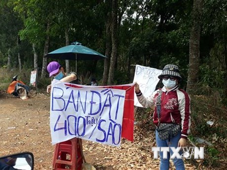 Bộ Tài nguyên và Môi trường chấn chỉnh tình trạng 'sốt ảo' về giá đất