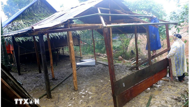 Thành phố Hồ Chí Minh và Bà Rịa-Vũng Tàu là hai địa phương "trắng" hộ nghèo