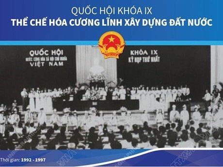 Quốc hội khóa IX: Thể chế hóa Cương lĩnh xây dựng đất nước