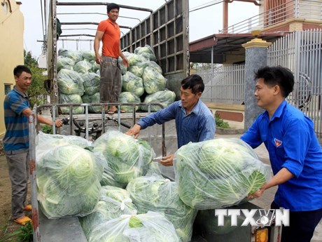 Doanh nghiệp vận tải chung tay hỗ trợ các địa phương tiêu thụ nông sản