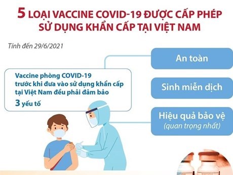 [Infographics] 5 loại vaccine COVID-19 được cấp phép sử dụng khẩn cấp