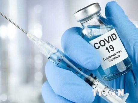 Ba Lan sẽ chuyển giao vaccine ngừa COVID-19 cho Việt Nam