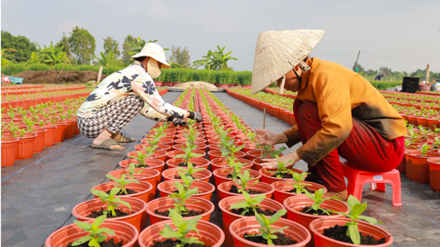 Tổng hợp thông tin báo chí liên quan đến TP. HCM ngày 24/12/2024