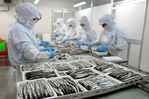 Dây chuyền sản xuất thủy hải sản đông lạnh tại nhà máy của Công ty Cổ Phần Sài Gòn Food (TP Hồ Chí Minh) chuyên sản xuất và kinh doanh thủy hải sản đông lạnh, thực phẩm chế biến ăn liền cung cấp cho thị trường nội địa và xuất khẩu. (Ảnh: An Hiếu/TTXVN)