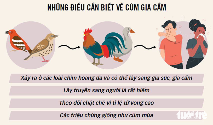 4. Chẩn đoán và điều trị