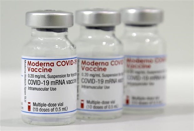 Vaccine ngừa COVID-19 của Moderna. (Nguồn: AFP/TTXVN)