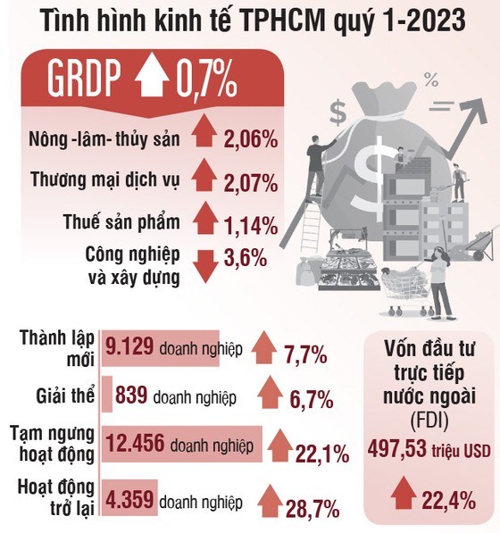 Nguồn: Cục Thống k&ecirc; TPHCM. Đồ họa: NGỌC TR&Acirc;M