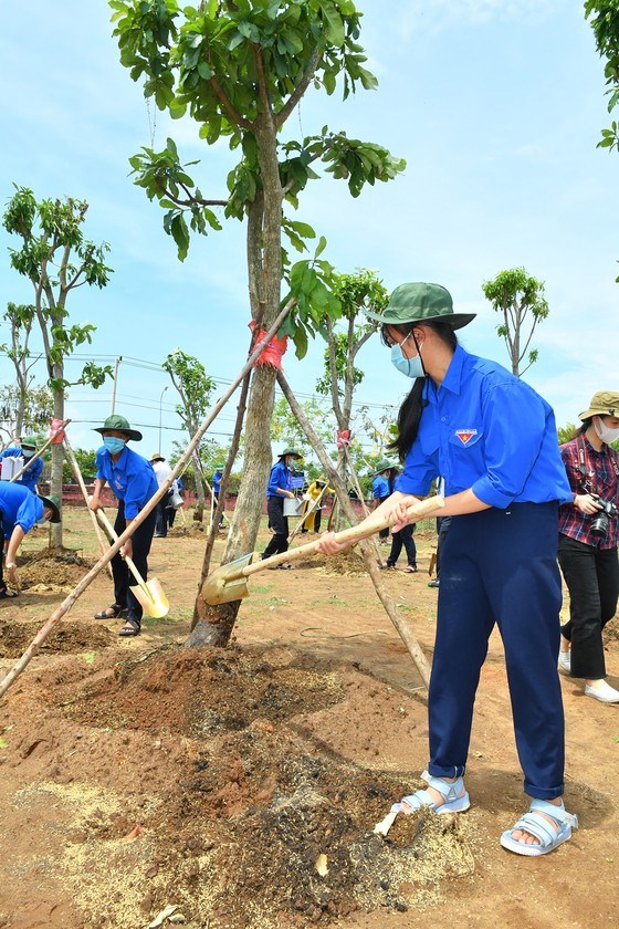 C&aacute;c bạn đo&agrave;n vi&ecirc;n thanh ni&ecirc;n trồng c&acirc;y nh&acirc;n sự kiện Cần Giờ được c&ocirc;ng nhận l&agrave; huyện đạt chuẩn n&ocirc;ng th&ocirc;n mới. Ảnh: VIỆT DŨNG&nbsp;