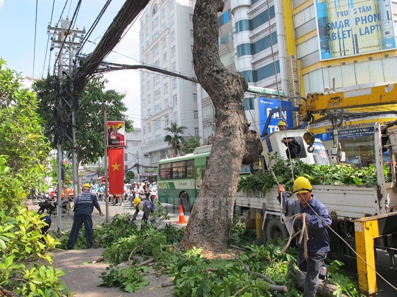 Ảnh minh họa. Nguồn:hcmcpv.org.vn