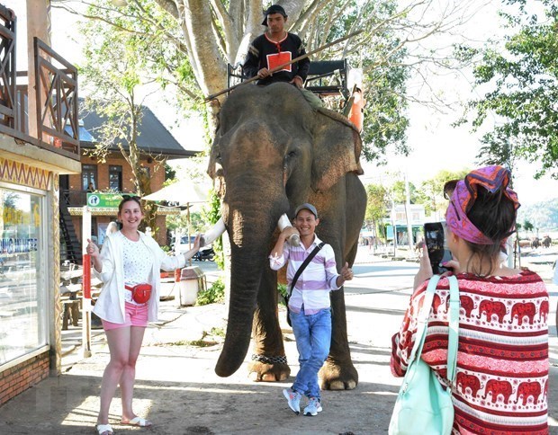 Du kh&aacute;ch chụp ảnh kỷ niệm với voi tại khu du lịch Hồ Lắk. (Ảnh: Nguyễn Tuấn Anh/TTXVN)