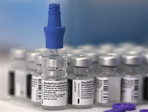 Vaccine ngừa COVID-19 của Pfizer-BioNTech. (Ảnh: AFP/TTXVN)