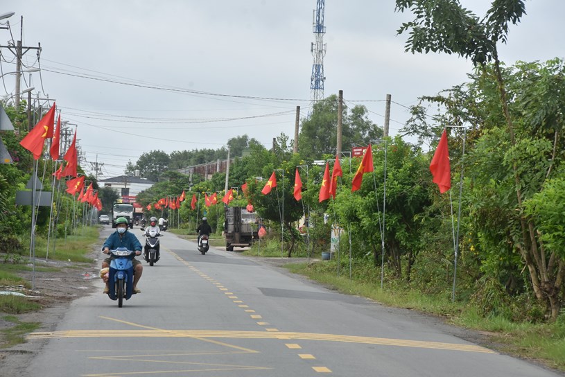 Kh&#225;nh th&#224;nh đường cờ Tổ quốc d&#224;i nhất TP HCM - Ảnh 1