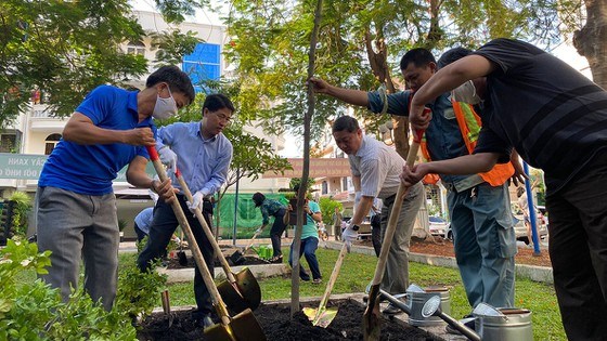 Quận Ph&uacute; Nhuận hưởng ứng phong tr&agrave;o ph&aacute;t triển mảng xanh&nbsp; do Đảng ủy khối ph&aacute;t động