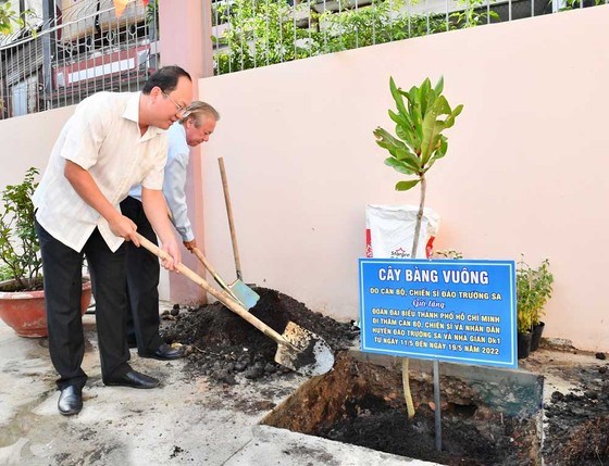 &nbsp;Ph&oacute; B&iacute; thư Th&agrave;nh ủy TPHCM&nbsp;Nguyễn Hồ Hải trồng c&acirc;y b&agrave;ng vu&ocirc;ng trong&nbsp;trường THCS L&yacute; Phong, quận 5. Ảnh: VIỆT DŨNG