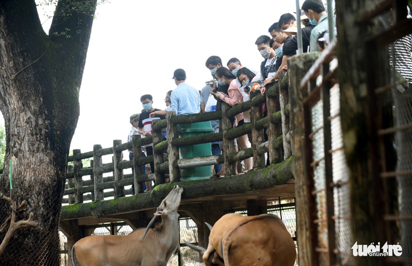 Dịp lễ thời gian nghỉ kh&ocirc;ng d&agrave;i th&iacute;ch hợp cho người d&acirc;n đến c&aacute;c địa điểm du lịch nội &ocirc;