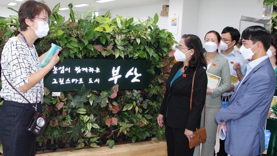 Đoàn đại biểu HĐND TPHCM do đồng chí Nguyễn Thị Lệ làm trưởng đoàn tham quan, làm việc tại Trung tâm Công nghệ Nông nghiệp Busan. Ảnh: THU HƯỜNG