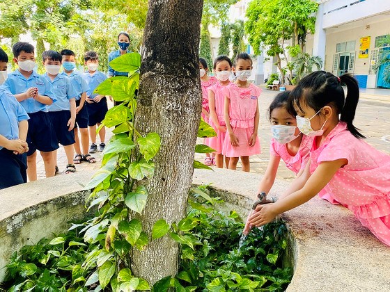 Học sinh Trường Tiểu học L&ecirc; Văn Việt (TP Thủ Đức, TPHCM) tận dụng nước rửa tay để tưới c&acirc;y
