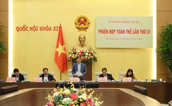 Phi&ecirc;n họp to&agrave;n thể lần thứ 31 của Ủy ban Ph&aacute;p luật, ng&agrave;y 14-11-2020. Ảnh: QUANG PH&Uacute;C