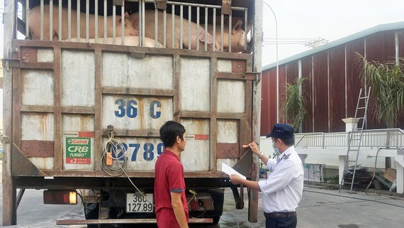 Tăng cường kiểm so&#225;t thực phẩm “bẩn” v&#224;o TP. Hồ Ch&#237; Minh